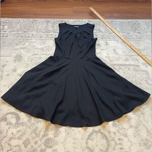 Express Skater Style Black Sleeveless Dress